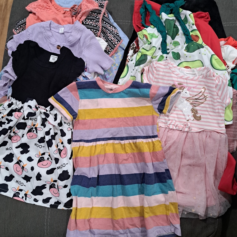 Bundle of Girls Toddler Size 2T/3T